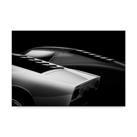 Trademark Fine Art 2 Miura by Holger Droste, 22x32-Inch